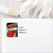 Grumman F3F-2 Biplane (Insitu)