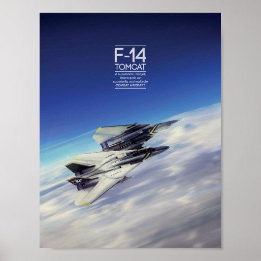 Grumman F-14 Tomcat Poster (Vorne)