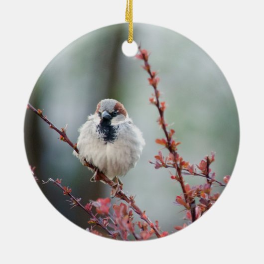 Grump Keramik Ornament (Hinten)