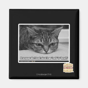 Grumpage Alarm Magnet