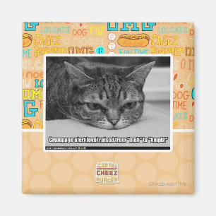 Grumpage Alarm Magnet