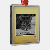 Grumpage Alarm Silbernes Ornament (Rechts)