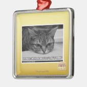 Grumpage Alarm Silbernes Ornament (Links)