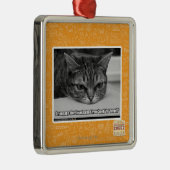 Grumpage Alarm Silbernes Ornament (Rechts)