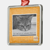 Grumpage Alarm Silbernes Ornament (Links)