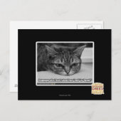 Grumpage Postkarte (Vorne/Hinten)