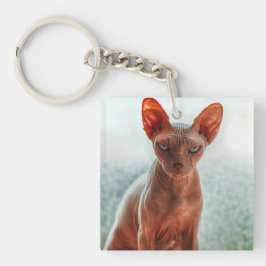 Grumpige, haarlose Sphynxkatze Schlüsselanhänger