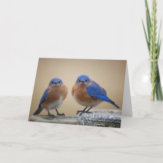 Grumpige kleine Männer Karte (Vorderseite)