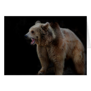 Grumpiger Bär!