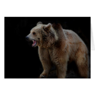 Grumpiger Bär!