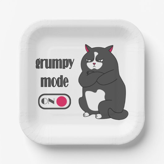 Grumpiger Modus bei lustiger, dicker Katze Pappteller (Vorderseite)