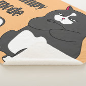 Grumpiger Modus bei lustiger, dicker Katze Sherpadecke (3/4)