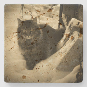 Grumpy Angel Cat in Snow Steinuntersetzer