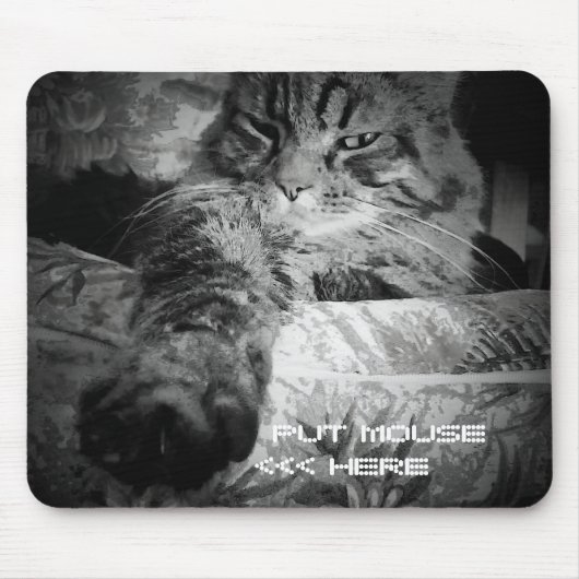 Grumpy Angel Cat wants your mouse Mousepad (Vorne)