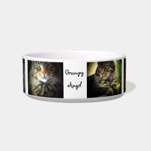 Grumpy Angel Maine Coon Cat Napf