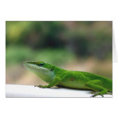 Grumpy Anole (Vorderseite (Horizontal))