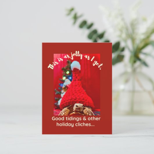 Grumpy baby sulcata tortoise in red hat Holiday Postkarte (Stehend Vorderseite)