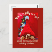 Grumpy baby sulcata tortoise in red hat Holiday Postkarte (Vorne/Hinten)