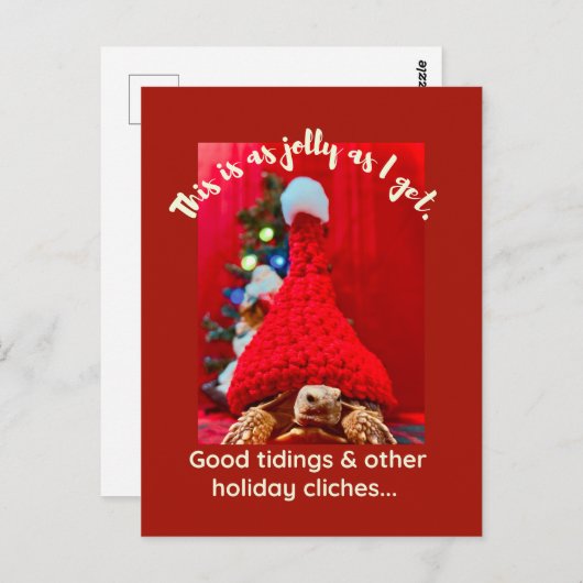 Grumpy baby sulcata tortoise in red hat Holiday Postkarte (Vorne/Hinten)