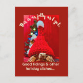 Grumpy baby sulcata tortoise in red hat Holiday Postkarte (Vorderseite)