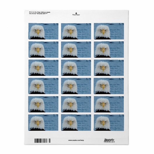 Grumpy Bald Eagle Adressaufkleber (Vorne)