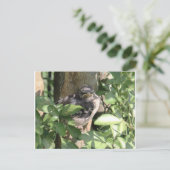 Grumpy Bird Postcard Postkarte (Stehend Vorderseite)