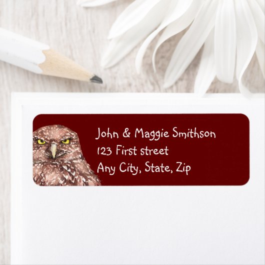 Grumpy Burrowing Owl Bird Nature Custom Art (Insitu)