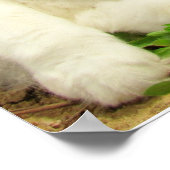 Grumpy Calico Cat Drama Sarcasm Poster (Ecke)