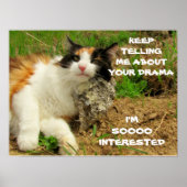Grumpy Calico Cat Drama Sarcasm Poster (Vorne)