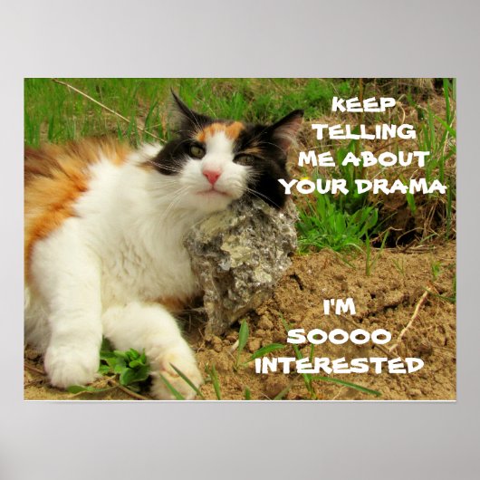 Grumpy Calico Cat Drama Sarcasm Poster (Vorne)