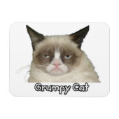 Grumpy Cat 3x4 Flexible Magnet (Horizontal)