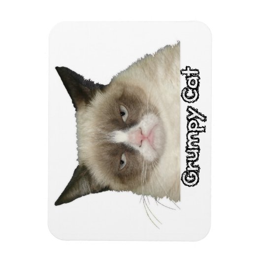 Grumpy Cat 3x4 Flexible Magnet (Vertikal)