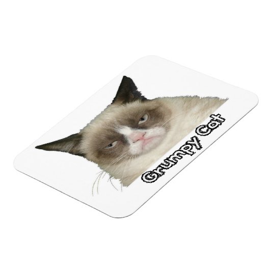 Grumpy Cat 3x4 Flexible Magnet (Linke Seite)