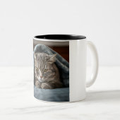 Grumpy Cat Coffee Tasse: Ein pingeliger Morgen Zweifarbige Tasse (VorderseiteRechts)