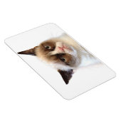 Grumpy Cat Flexible Magnet (Rechte Seite)