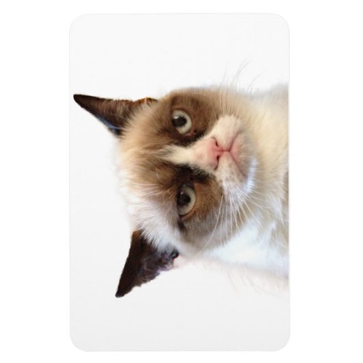 Grumpy Cat Flexible Magnet (Vertikal)