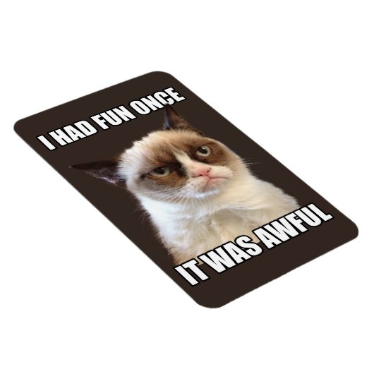 Grumpy Cat Flexible Magnet (Rechte Seite)