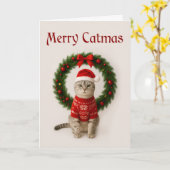Grumpy Cat Folded Christmas Card Karte (Gelbe Blume)