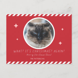 Grumpy Cat Foto lustiges Weihnachten rote Familien