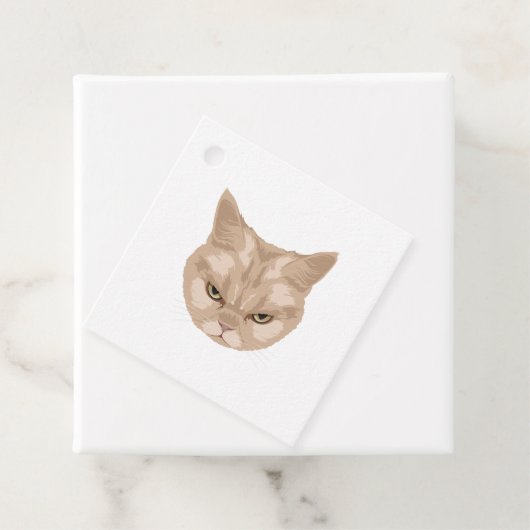 Grumpy Cat Geschenkanhänger (Beispiel)