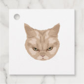 Grumpy Cat Geschenkanhänger (Vorderseite)