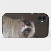 Grumpy Cat Glare Case-Mate iPhone Hülle (Rückseite (Horizontal))