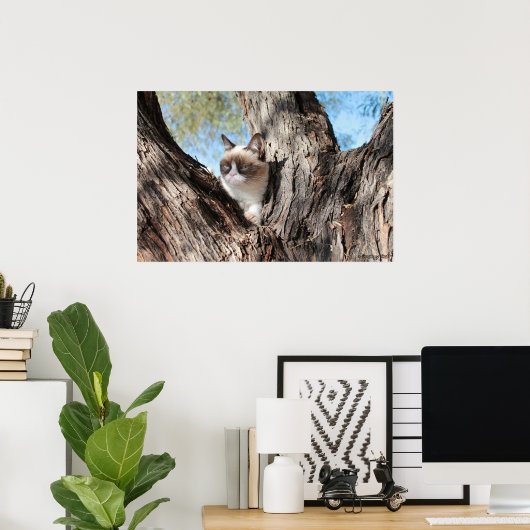 Grumpy Cat™ in einem Baumposter Poster (Heimbüro)