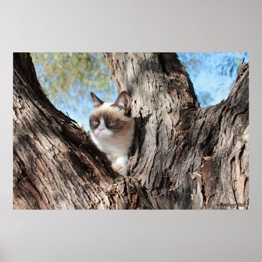 Grumpy Cat™ in einem Baumposter Poster (Vorne)