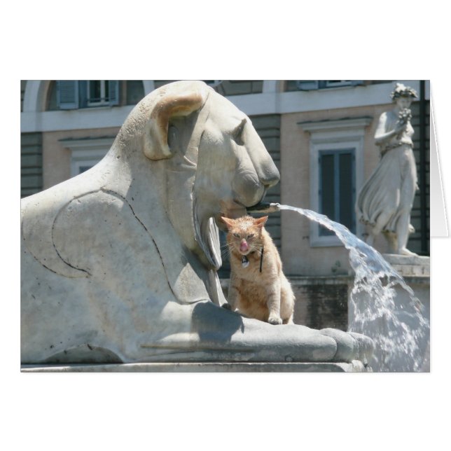 Grumpy Cat in Rom, Brunnen auf der Piazza (Vorderseite (Horizontal))