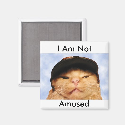 Grumpy Cat Magnet (Vorderseite/Rückseite)