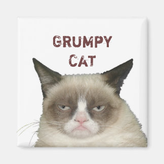 Grumpy Cat Magnet mit Text