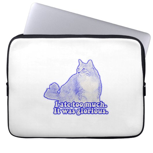 Grumpy Cat Meme für Katzenbesitzer und Kätzchenlie Laptopschutzhülle (Vorderseite)