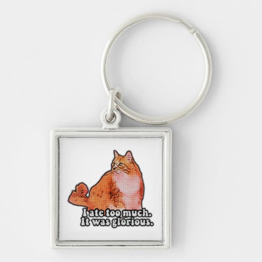 Grumpy Cat Meme für Katzenfreunde und Kittenliebha Schlüsselanhänger (Vorne)