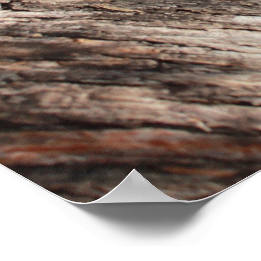 Grumpy Cat™ Meows Poster (Ecke)